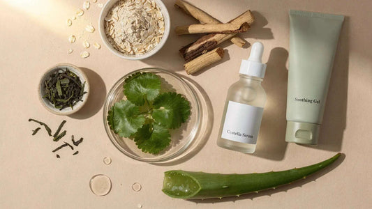 Botanical Skin Care: Best Plant Ingredients and Who Should Use Them